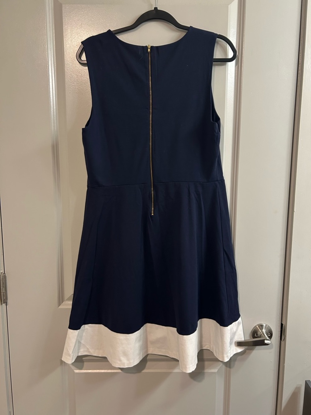 The Limited Navy Dress with White Hem - Picture 6 of 6